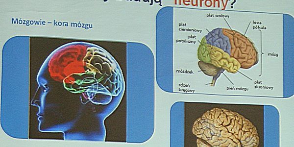 W zdrowym ciele zdrowy mózg