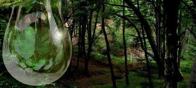 64 Doroczna Wystawa Fotograficzna