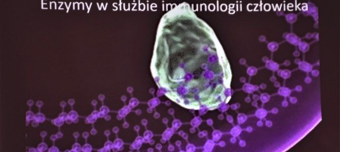 Enzymy – strażnicy organizmu