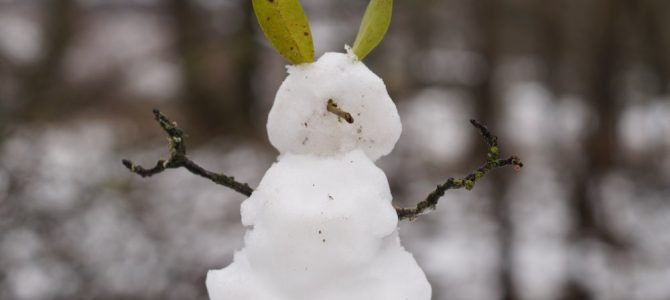 Poplenerowa wystawa fotograficzna „Murawy Gorzowskie”