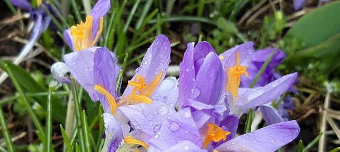 Wielkanocne życzenia 2021.