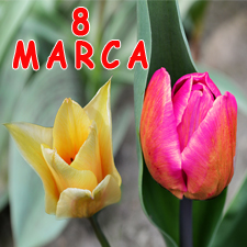 Międzynarodowy Dzień Kobiet